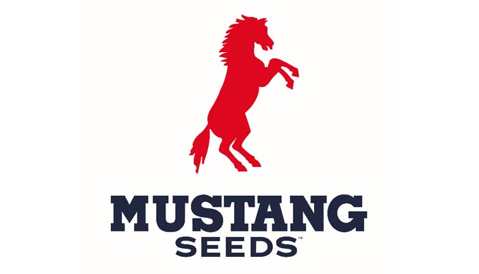 Mustang Seeds Logo